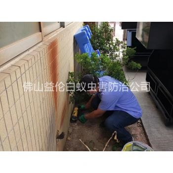 南边投放灭鼠装置工程