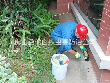 云东海施药灭鼠工程